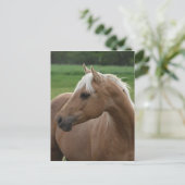 Carte Postale Whats Sizzlin Jac (Debout devant)
