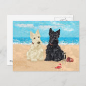 Carte Postale Wheaten et Scotties noires (Devant / Derrière)