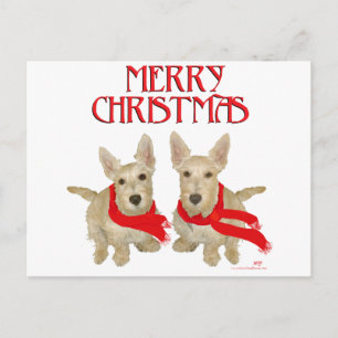 Carte Postale Wheaten Scottish Terrier Noël