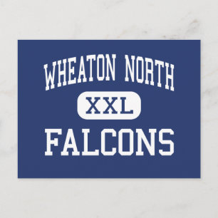 Carte Postale Wheaton North - Falcons - High - Wheaton Illinois