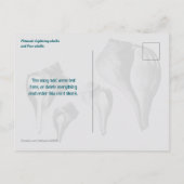 Carte Postale Whelk Seashells Comparison Photography (Dos)