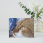 Carte Postale Where Are You Looking At ? (Debout devant)