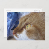 Carte Postale Where Are You Looking At ? (Devant / Derrière)