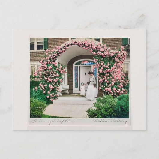 Carte Postale Where flowers bloom so does hope.  (Devant)