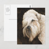 Carte postale Wherier Dog Art à revêtement souple (Devant / Derrière)