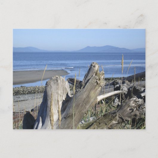 Carte Postale Whidbey Island 4 (Devant)