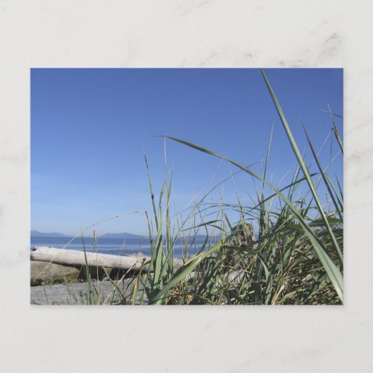 Carte Postale Whidbey Island 5 (Devant)