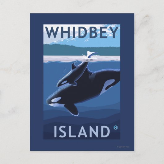 Carte Postale Whidbey Island, Washington Orca et Calf (Devant)