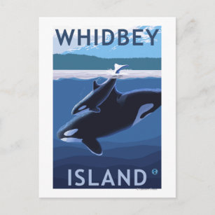 Carte Postale Whidbey Island, Washington Orca et Calf