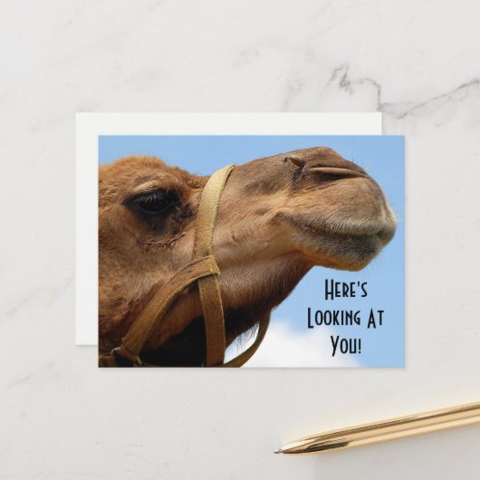 Carte Postale Whimsical "Here's Look At You" Camel Salutation (Devant/Arrière en situation)