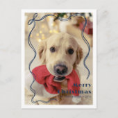 Carte Postale Whimsical Red Ribbon Pet Photo Joyeux Noël (Devant)