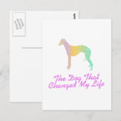 Carte Postale Whippet (Devant / Derrière)