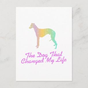 Carte Postale Whippet