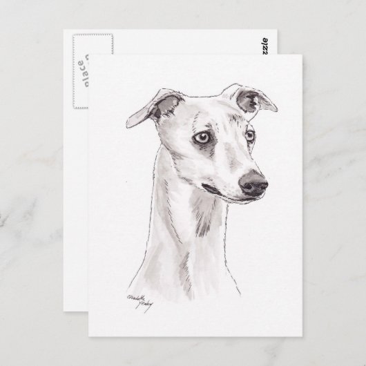 Carte postale Whippet Dog Art (Devant / Derrière)