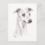 Carte postale Whippet Dog Art (Devant)