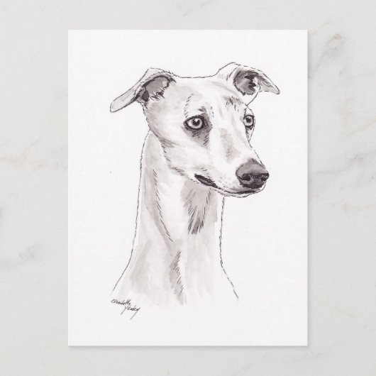 Carte postale Whippet Dog Art (Devant)