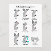 Carte Postale Whippet Semaphore (Devant)