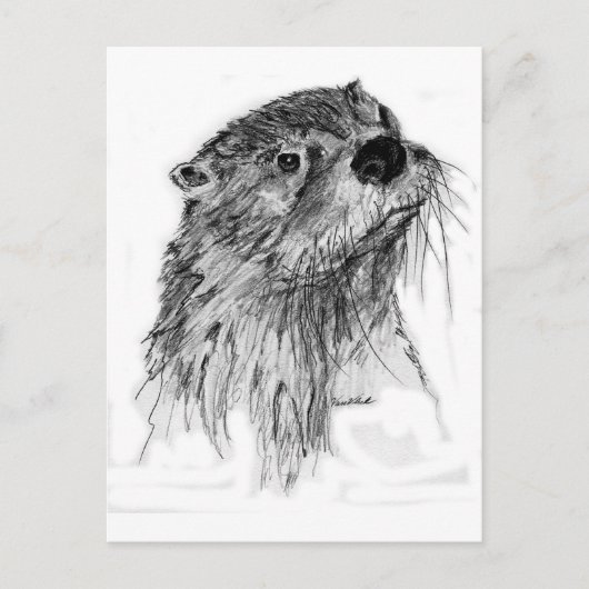 Carte Postale Whiskers Otter (Devant)