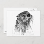 Carte Postale Whiskers Otter (Devant / Derrière)