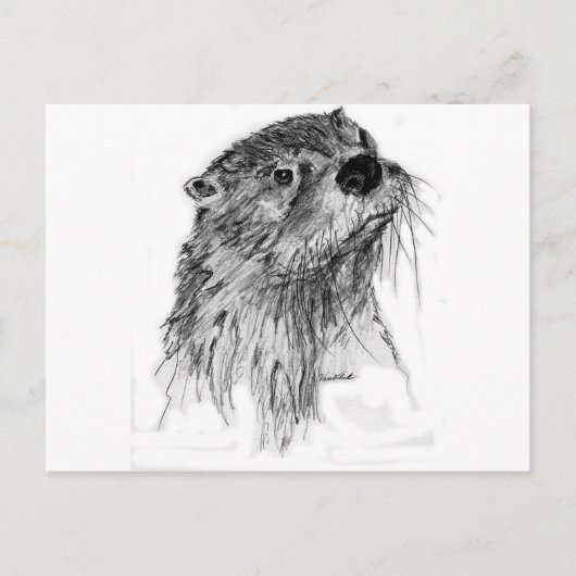 Carte Postale Whiskers Otter (Devant)