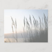 Carte Postale Whisper du matin (Devant)