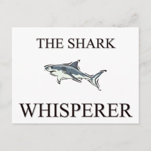 Carte Postale Whisperer de requin