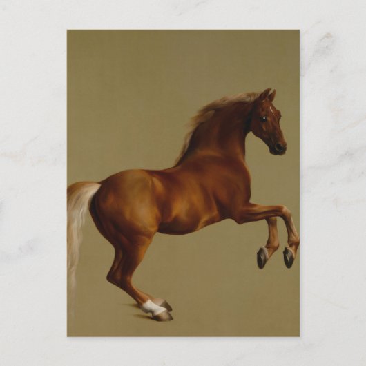 Carte Postale Whistlejacket Race Horse par George Stubbs (Devant)