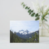 Carte postale Whistler Mountain View (Debout devant)
