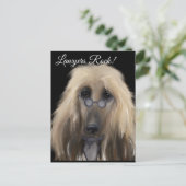 Carte Postale White Afghan Hound (Debout devant)