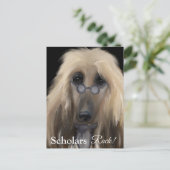 Carte Postale White Afghan Hound (Debout devant)