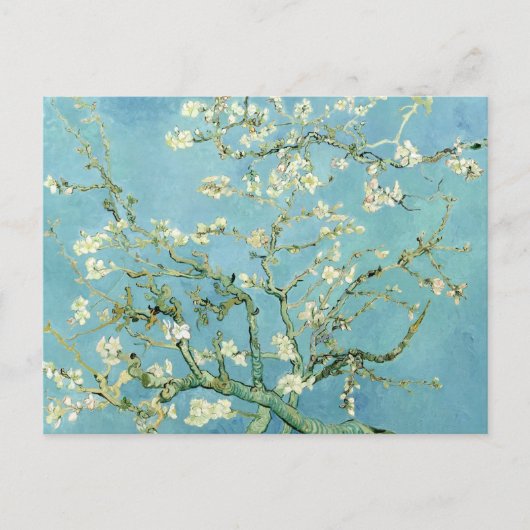 Carte Postale White almond blossom by Vincent Van Gogh (Devant)