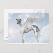 Carte Postale White Angel Greyhound (Devant / Derrière)