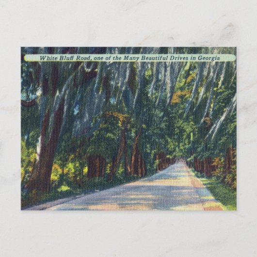 Carte Postale White Bluff Rd Beautiful Dr Savannah GA Historique (Devant)
