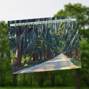 Carte Postale White Bluff Rd Beautiful Dr Savannah GA Historique