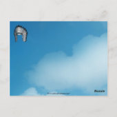 Carte postale White Buffalo Head (Dos)