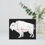 Carte Postale White Buffalo Thunder_cove (Debout devant)