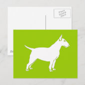 Carte Postale White Bull Terrier (Devant / Derrière)