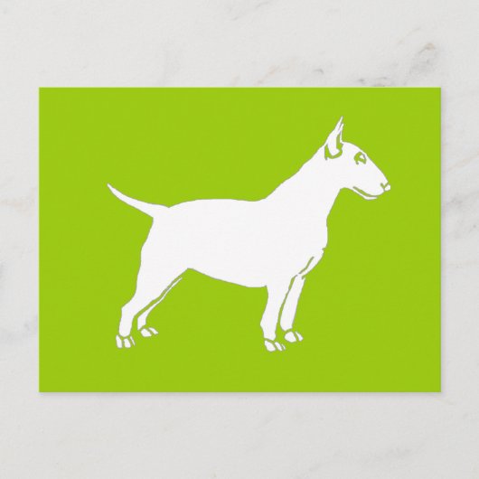 Carte Postale White Bull Terrier (Devant)