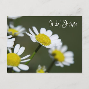 Carte Postale White Daisies Bridal Shower Invitation