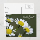 Carte Postale White Daisies Bridal Shower Invitation (Devant / Derrière)
