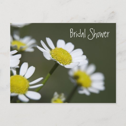 Carte Postale White Daisies Bridal Shower Invitation (Devant)