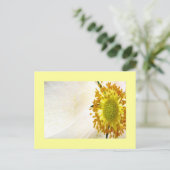 Carte postale White Globe Flower (Debout devant)