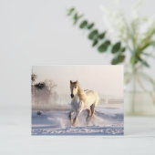 Carte Postale White Horse Galloping (Debout devant)