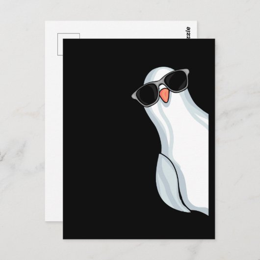 Carte Postale White King Pigeon Escrime Hommes Pigeon Racing Pig (Devant / Derrière)