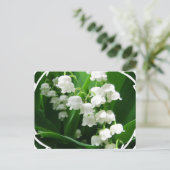 Carte postale White Lily of the Valley (Debout devant)