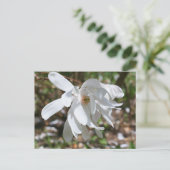 Carte Postale White Magnolia Flower Personalized (Debout devant)