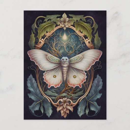 Carte postale White Moth (Devant)