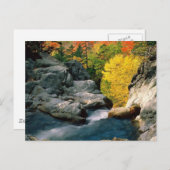 Carte Postale White Mountain National Forest, NH (Devant / Derrière)