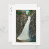 Carte Postale White Mountains Nat'l Forest (Devant / Derrière)