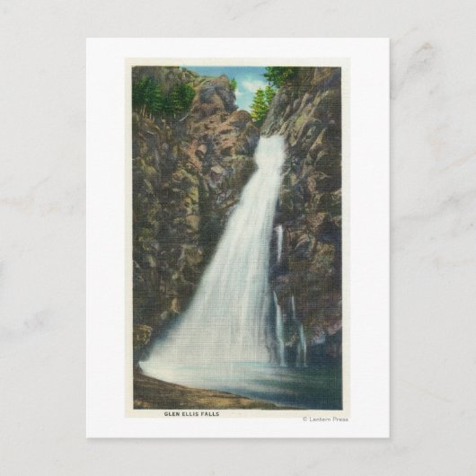 Carte Postale White Mountains Nat'l Forest (Devant)